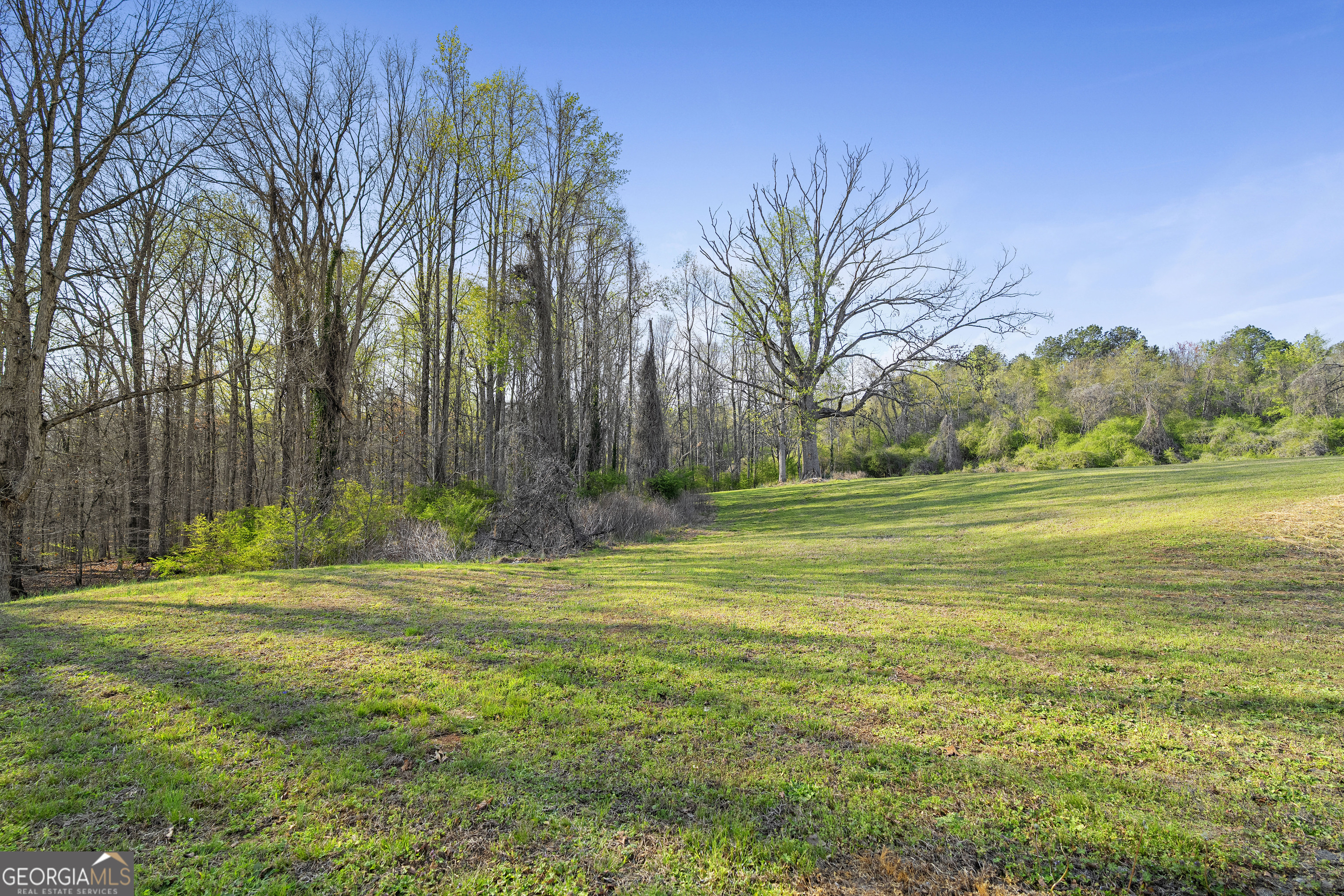 55 Pirates Point Dawsonville GA 30534