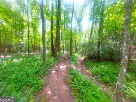 26 Chestnut Oak Point Jasper GA 30143