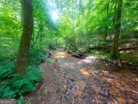26 Chestnut Oak Point Jasper GA 30143