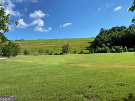 26 Chestnut Oak Point Jasper GA 30143