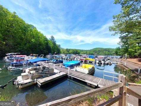26 Chestnut Oak Point Jasper GA 30143