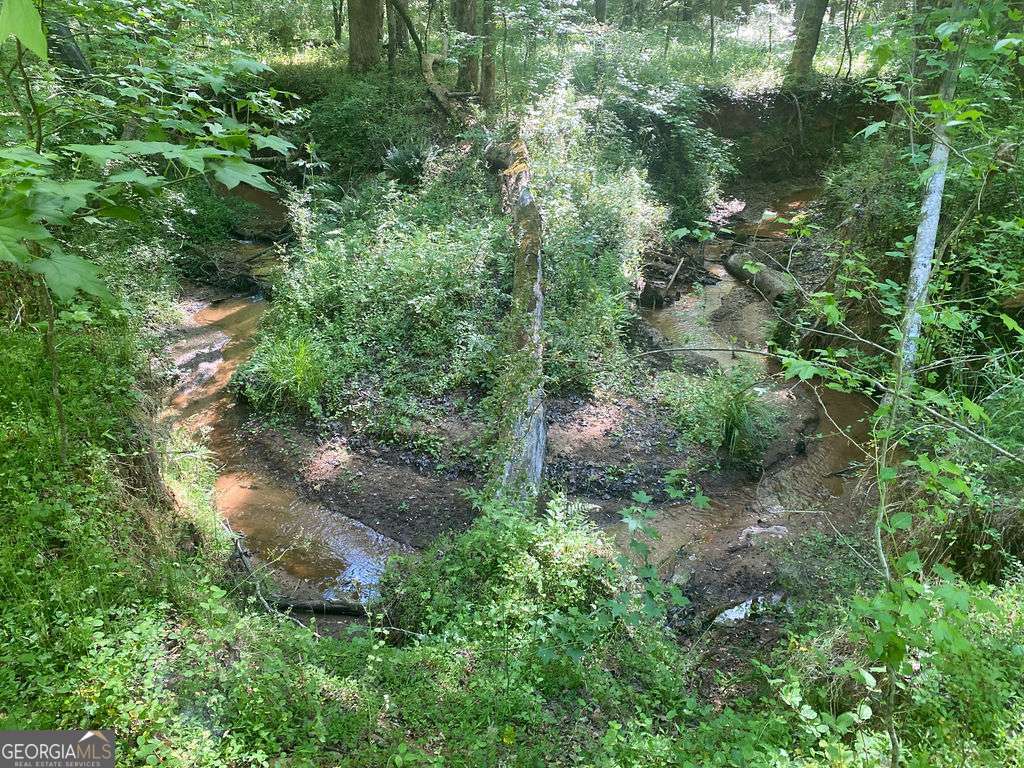 6077 Colham Ferry Road Watkinsville GA 30677