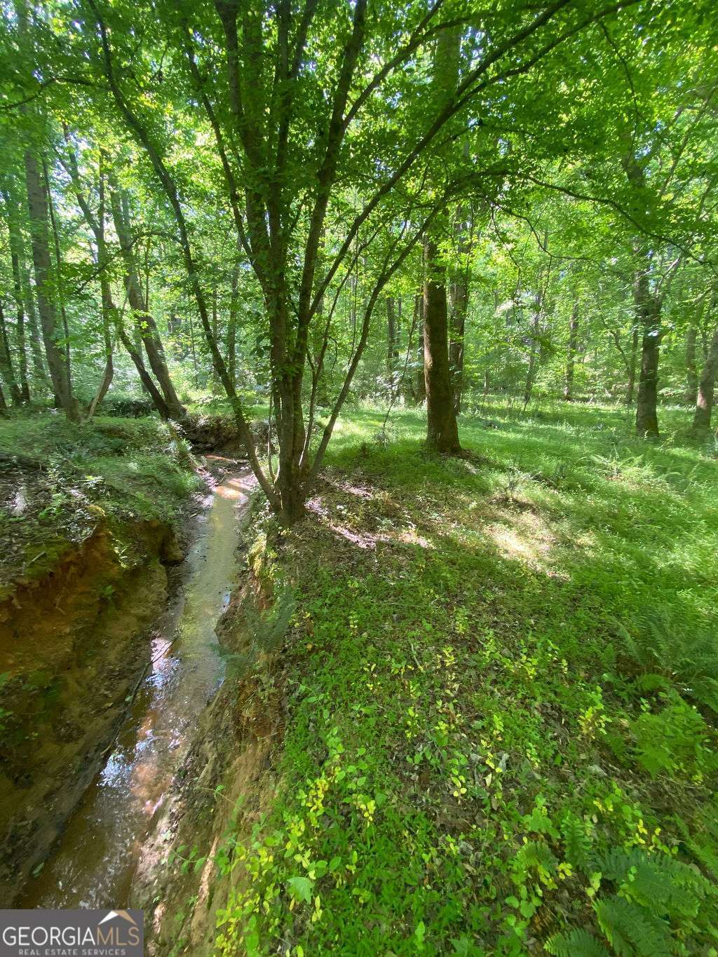 6077 Colham Ferry Road Watkinsville GA 30677