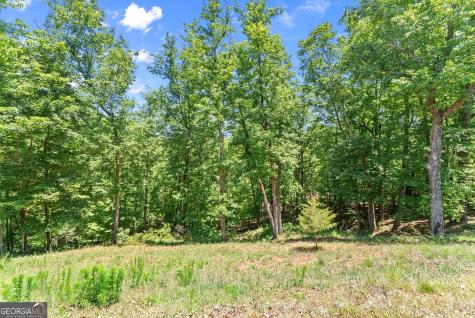 771 Calhoun Road Dahlonega GA 30533