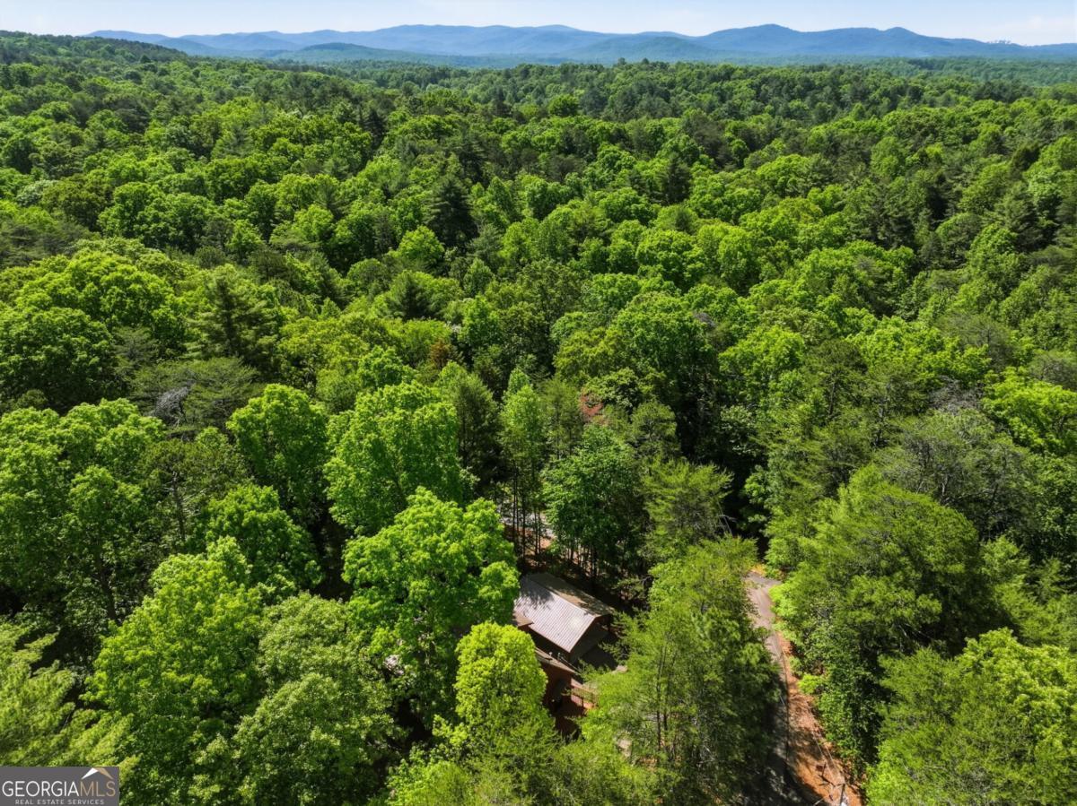 105 Blackberry Falls Court Ellijay GA 30536
