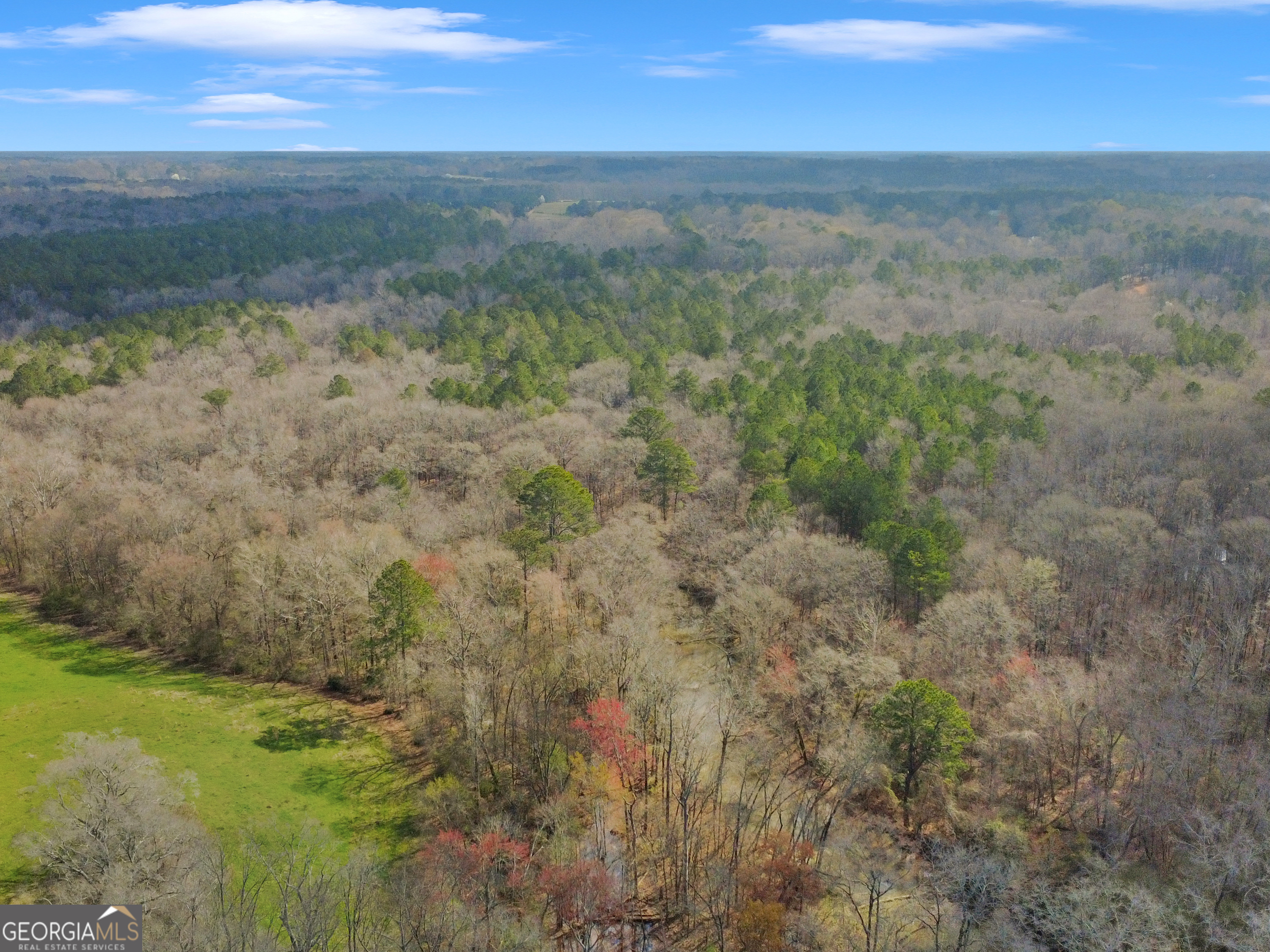 138 Lewis Road Jackson GA 30233