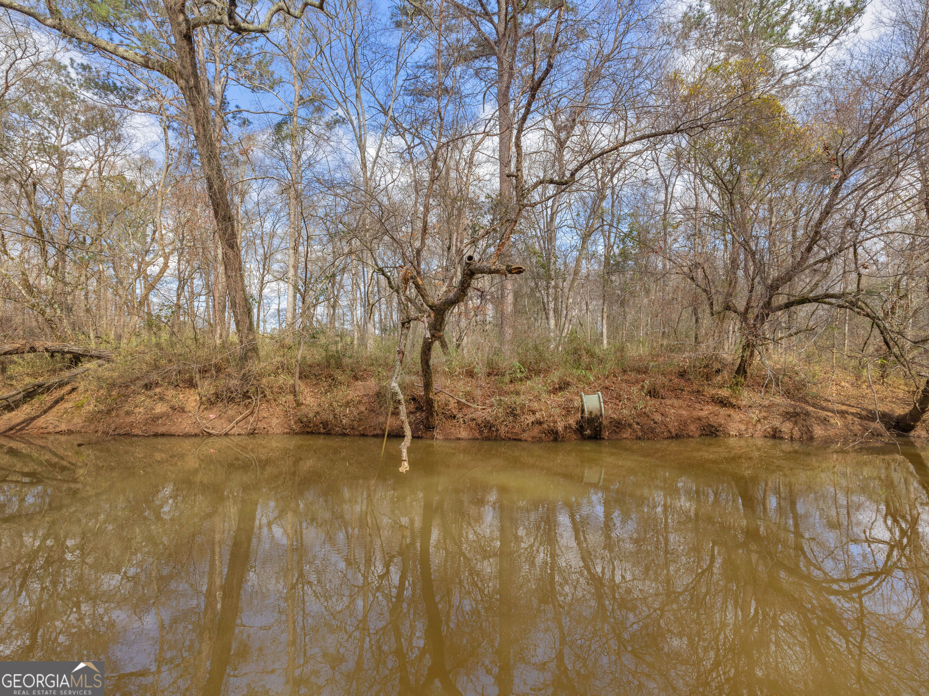 138 Lewis Road Jackson GA 30233