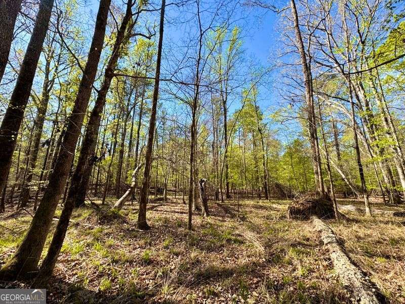 260 Black Springs Road NE Milledgeville GA 31061