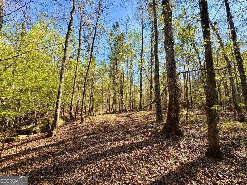 260 Black Springs Road NE Milledgeville GA 31061