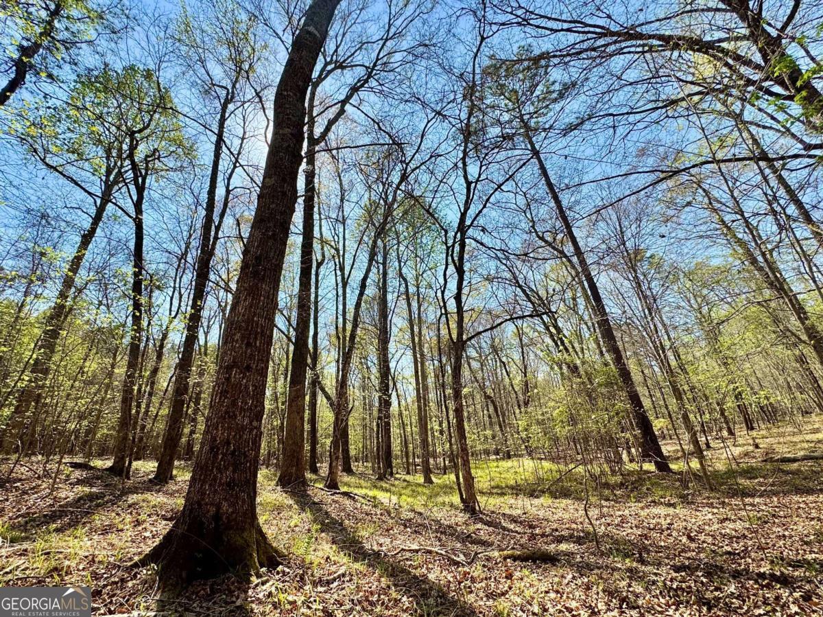 260 Black Springs Road NE Milledgeville GA 31061