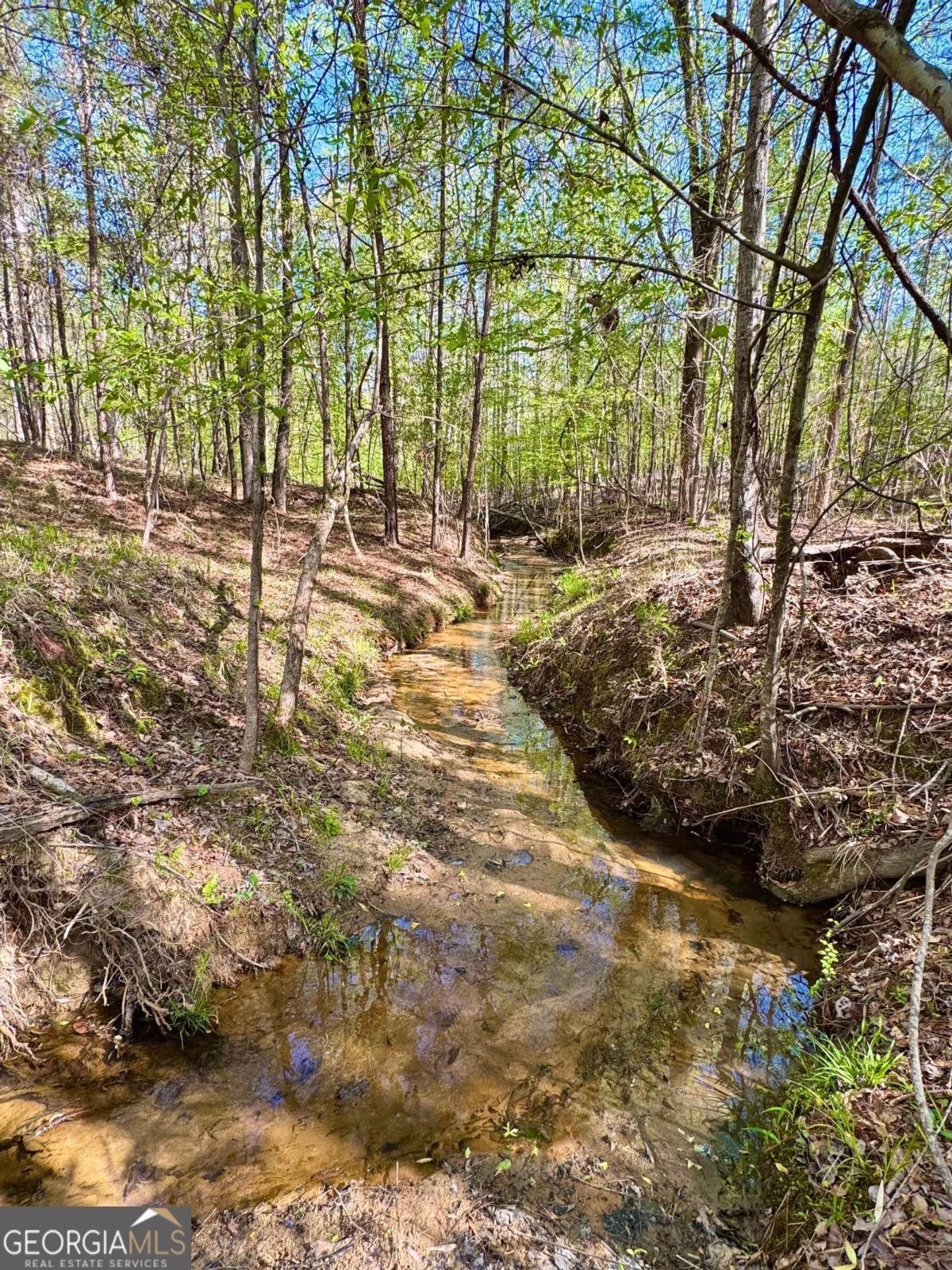 260 Black Springs Road NE Milledgeville GA 31061