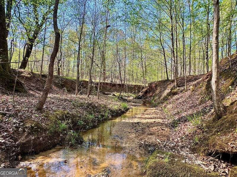 260 Black Springs Road NE Milledgeville GA 31061
