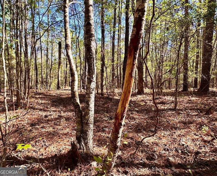 260 Black Springs Road NE Milledgeville GA 31061