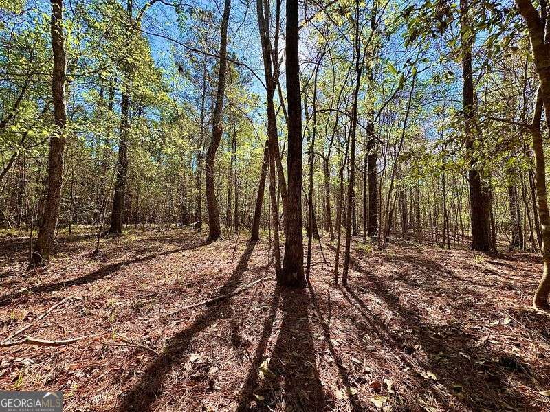260 Black Springs Road NE Milledgeville GA 31061