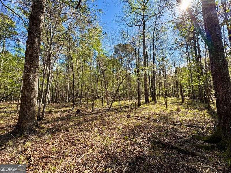 260 Black Springs Road NE Milledgeville GA 31061