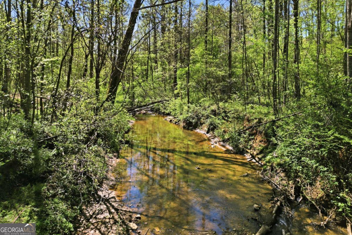 240 Mill Pond Court Jasper GA 30143
