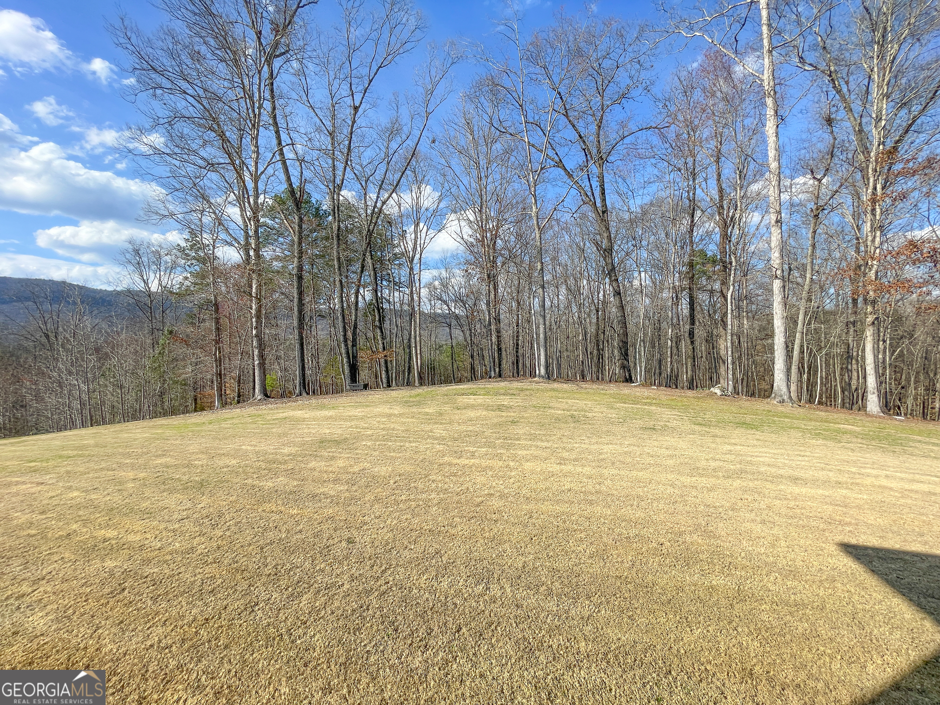 39 Acres On E. Teloga Road Summerville GA 30747