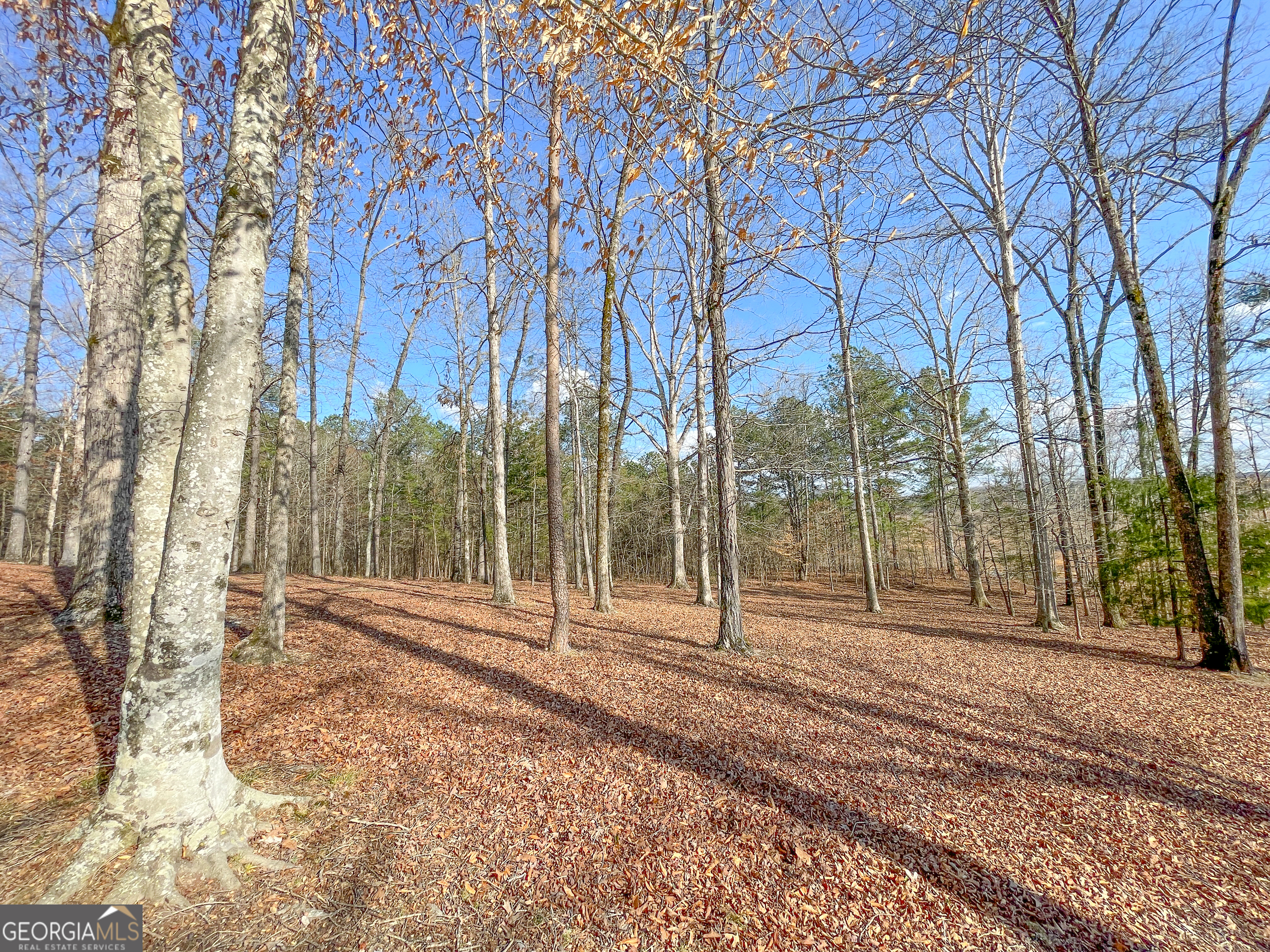 39 Acres On E. Teloga Road Summerville GA 30747