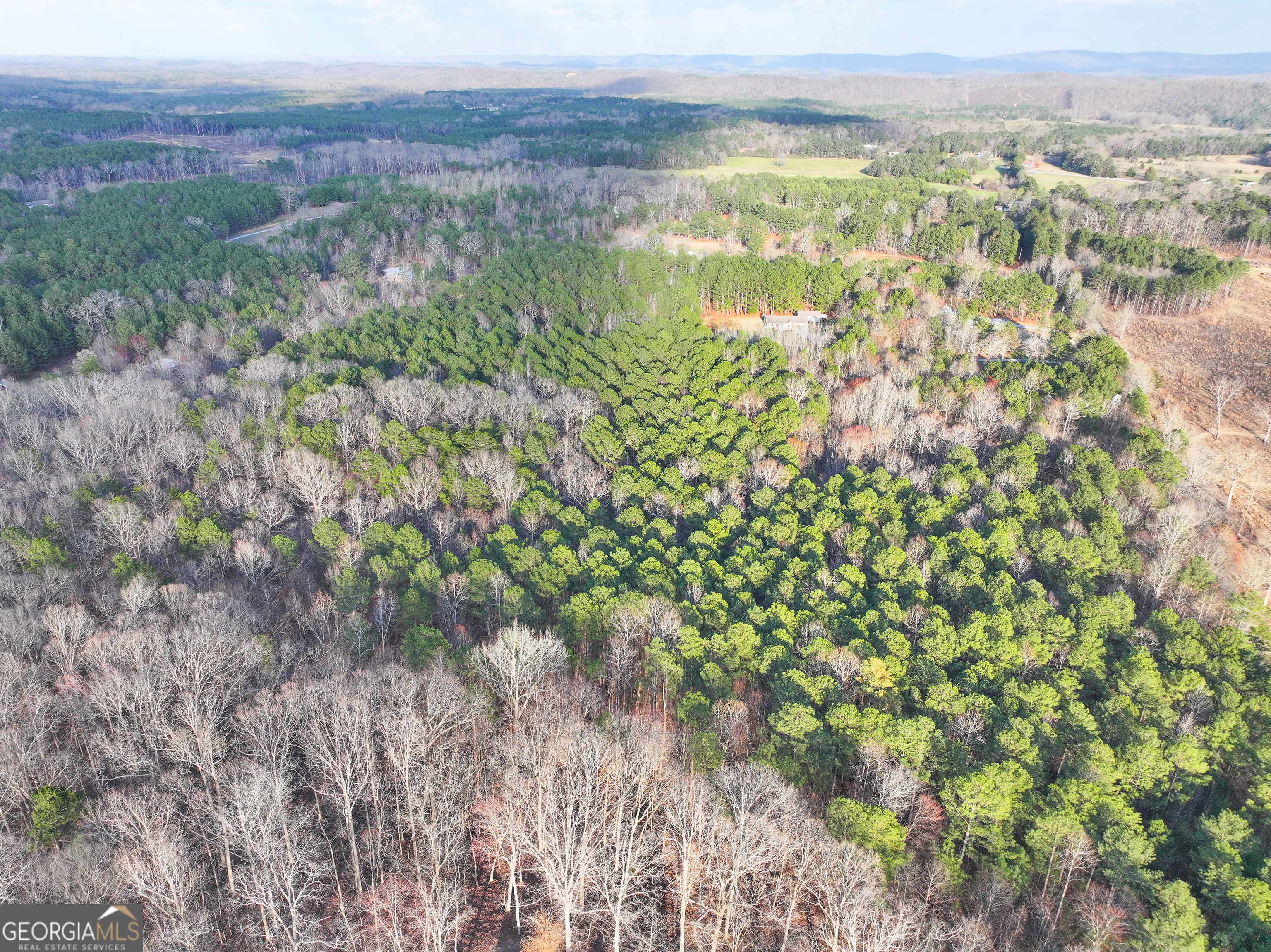 39 Acres On E. Teloga Road Summerville GA 30747