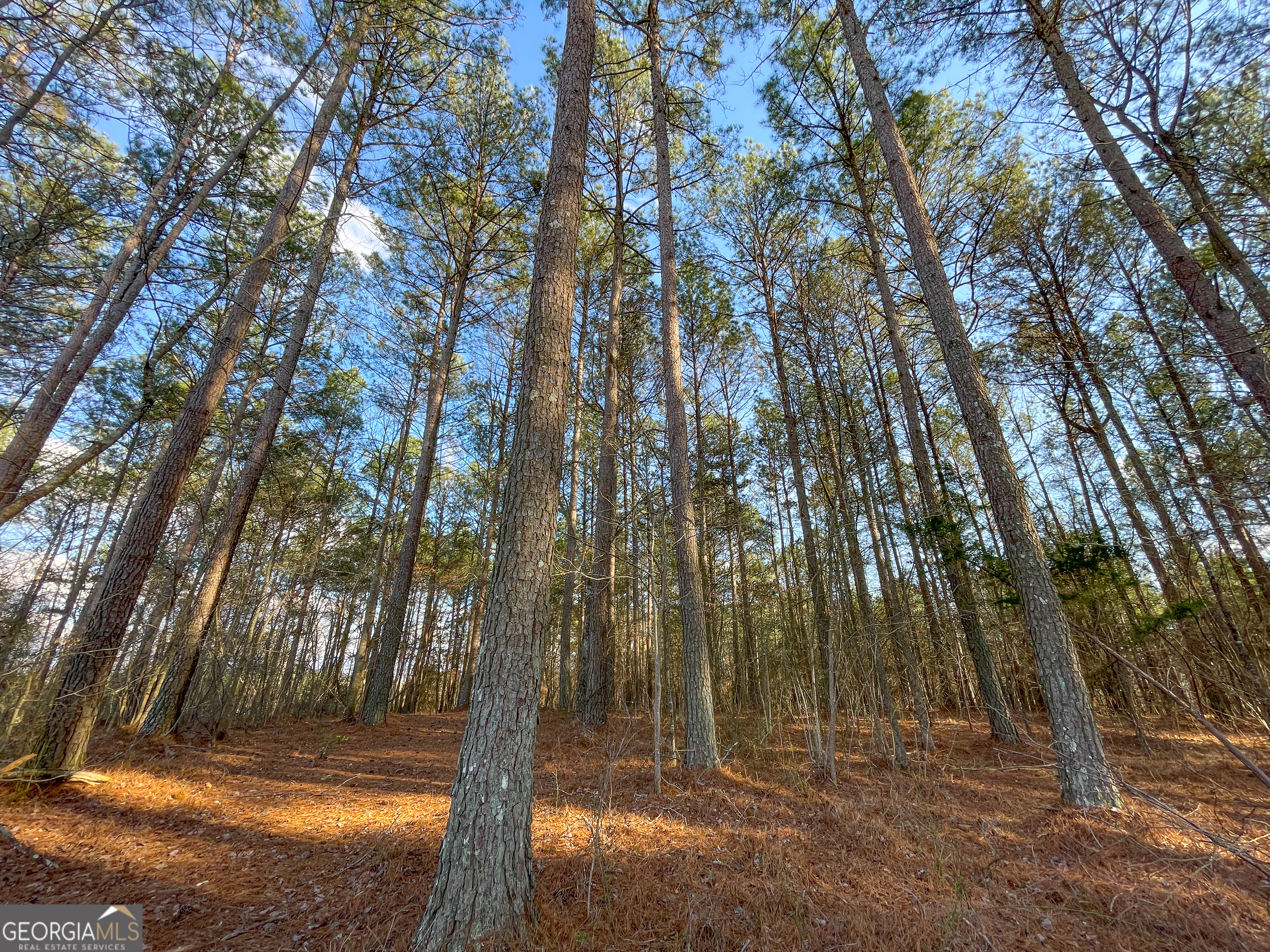 39 Acres On E. Teloga Road Summerville GA 30747