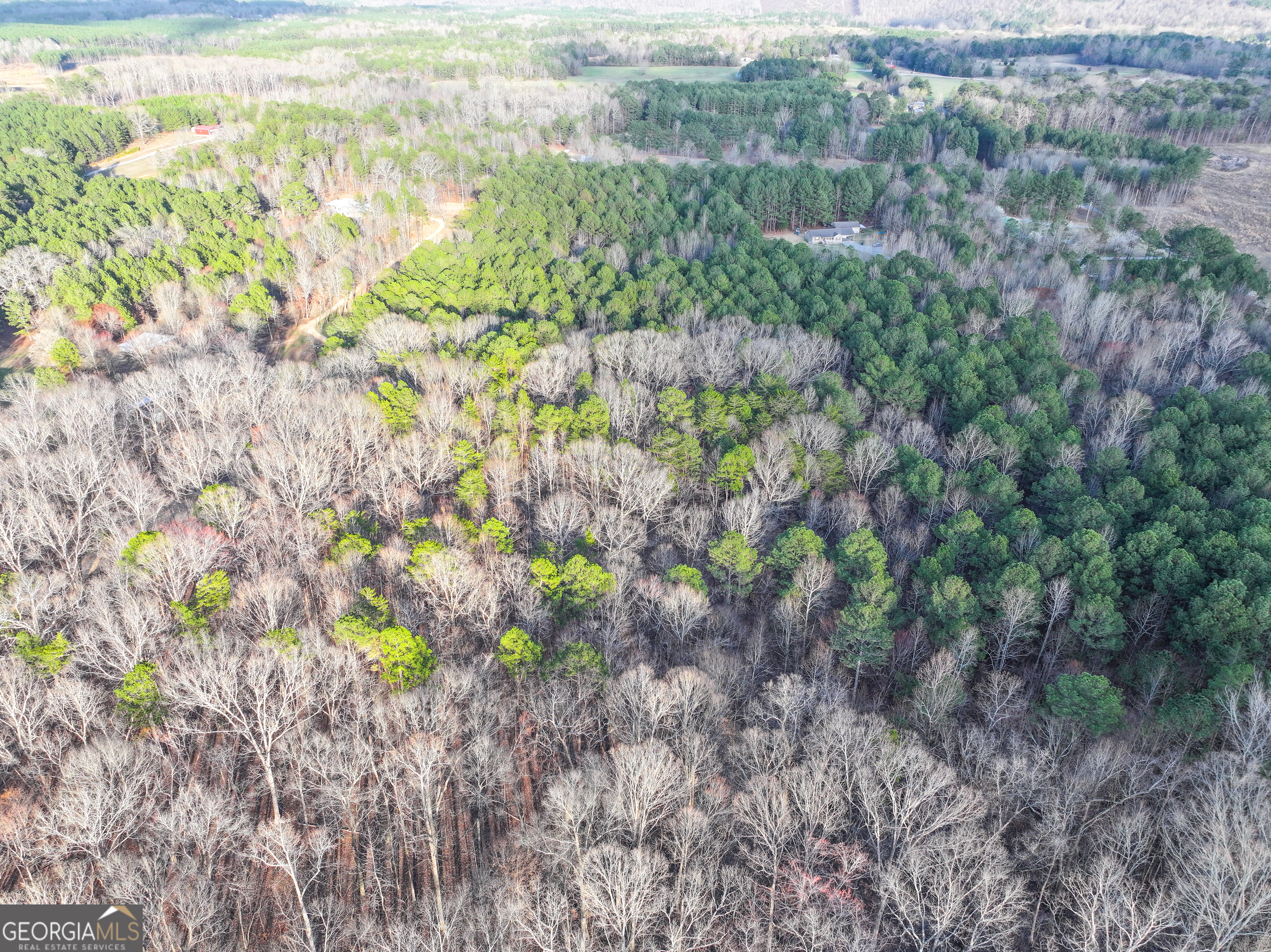 39 Acres On E. Teloga Road Summerville GA 30747
