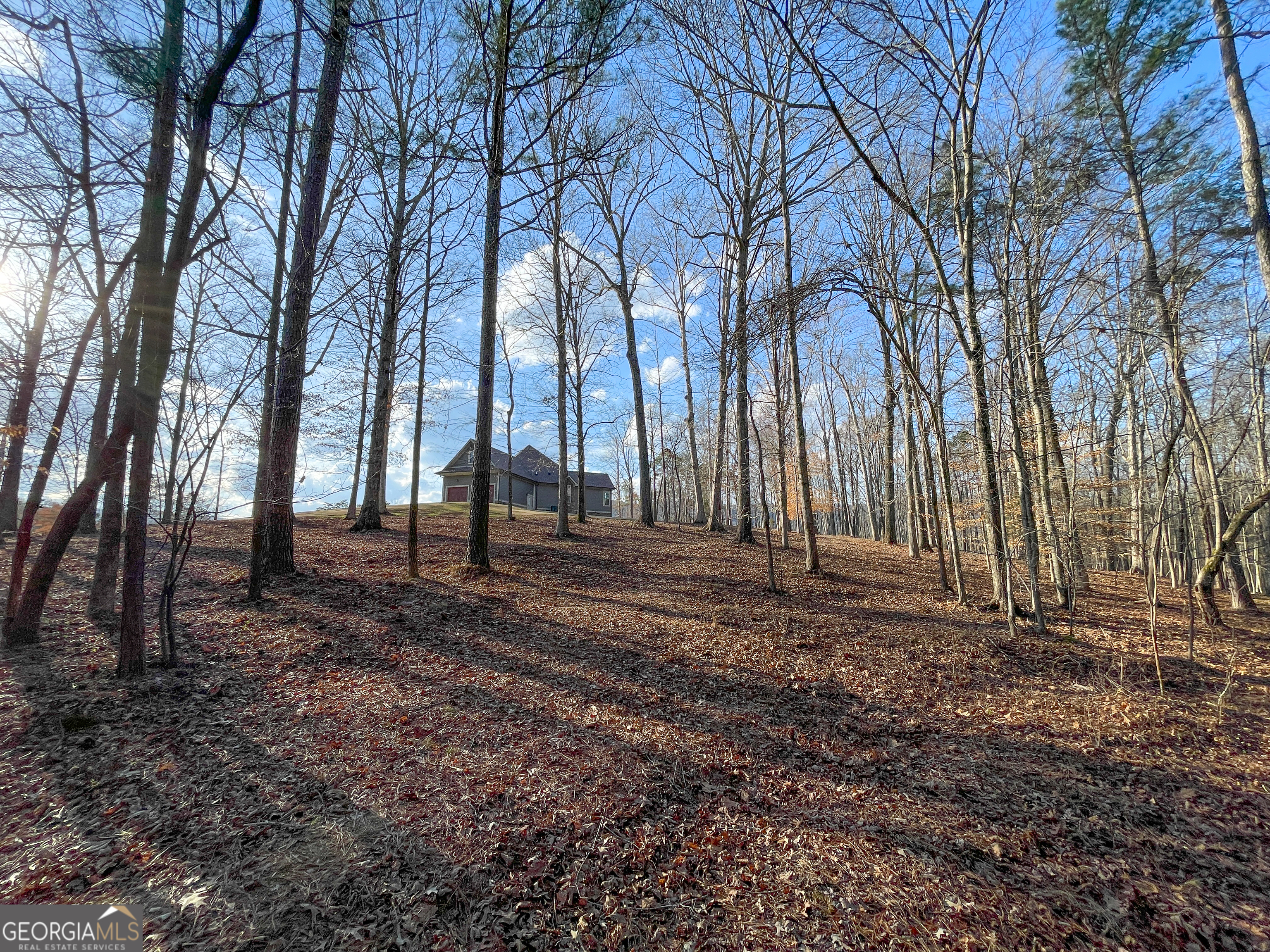 39 Acres On E. Teloga Road Summerville GA 30747
