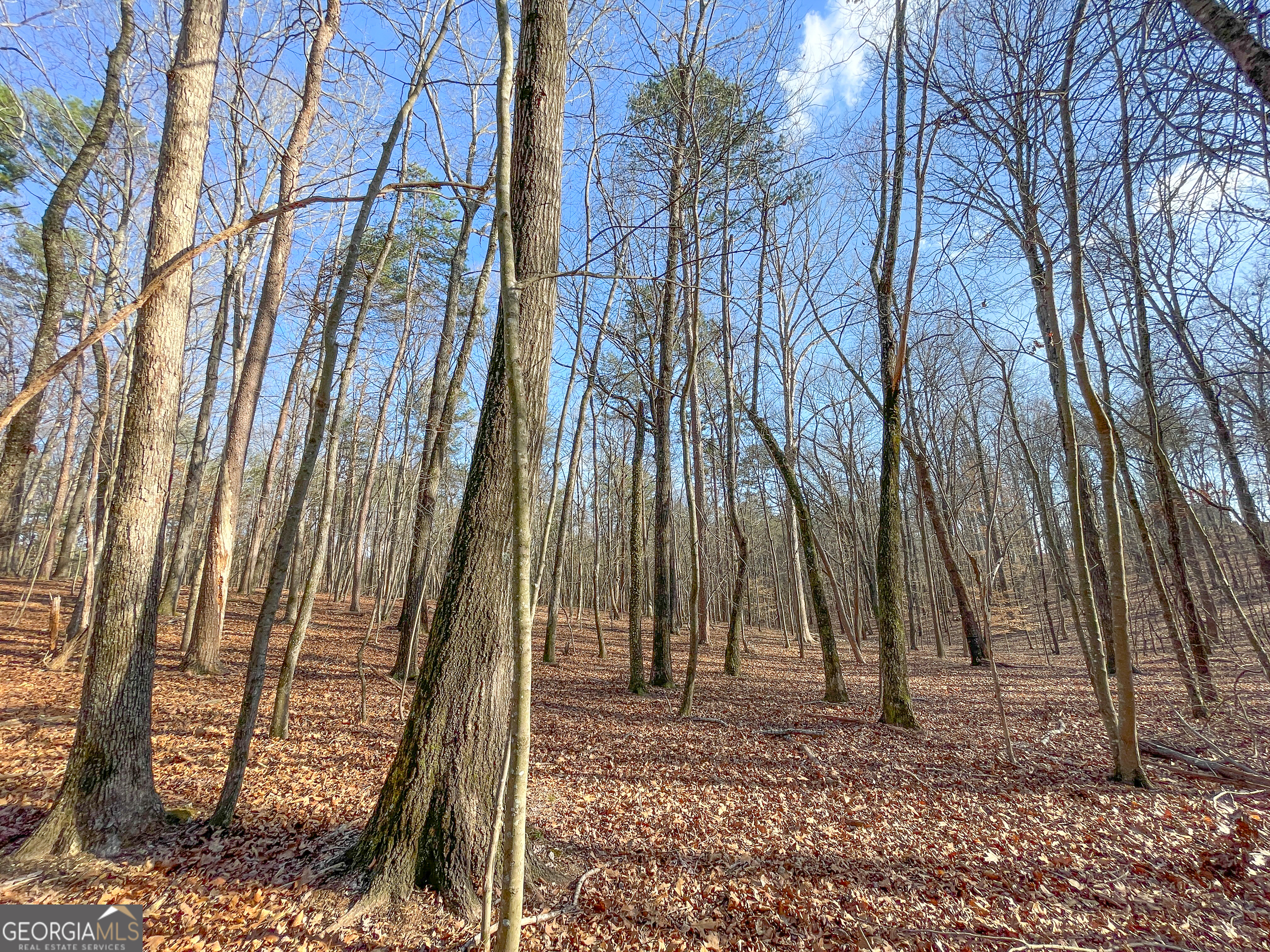 39 Acres On E. Teloga Road Summerville GA 30747