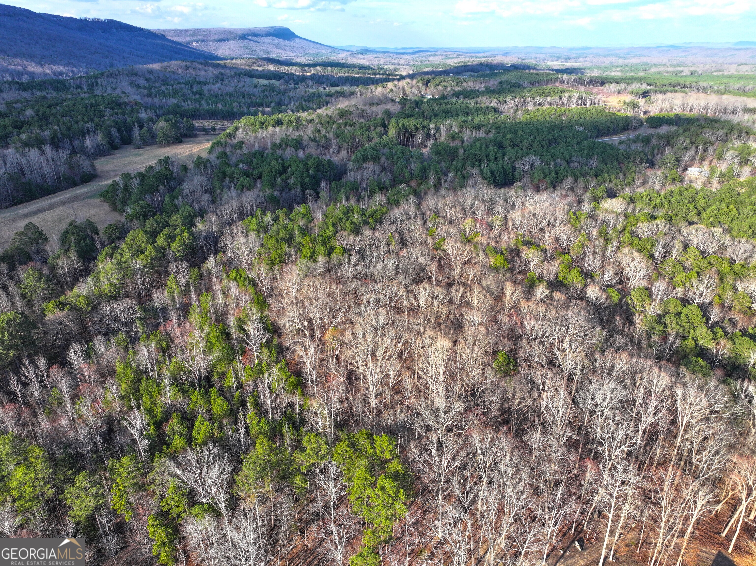 39 Acres On E. Teloga Road Summerville GA 30747