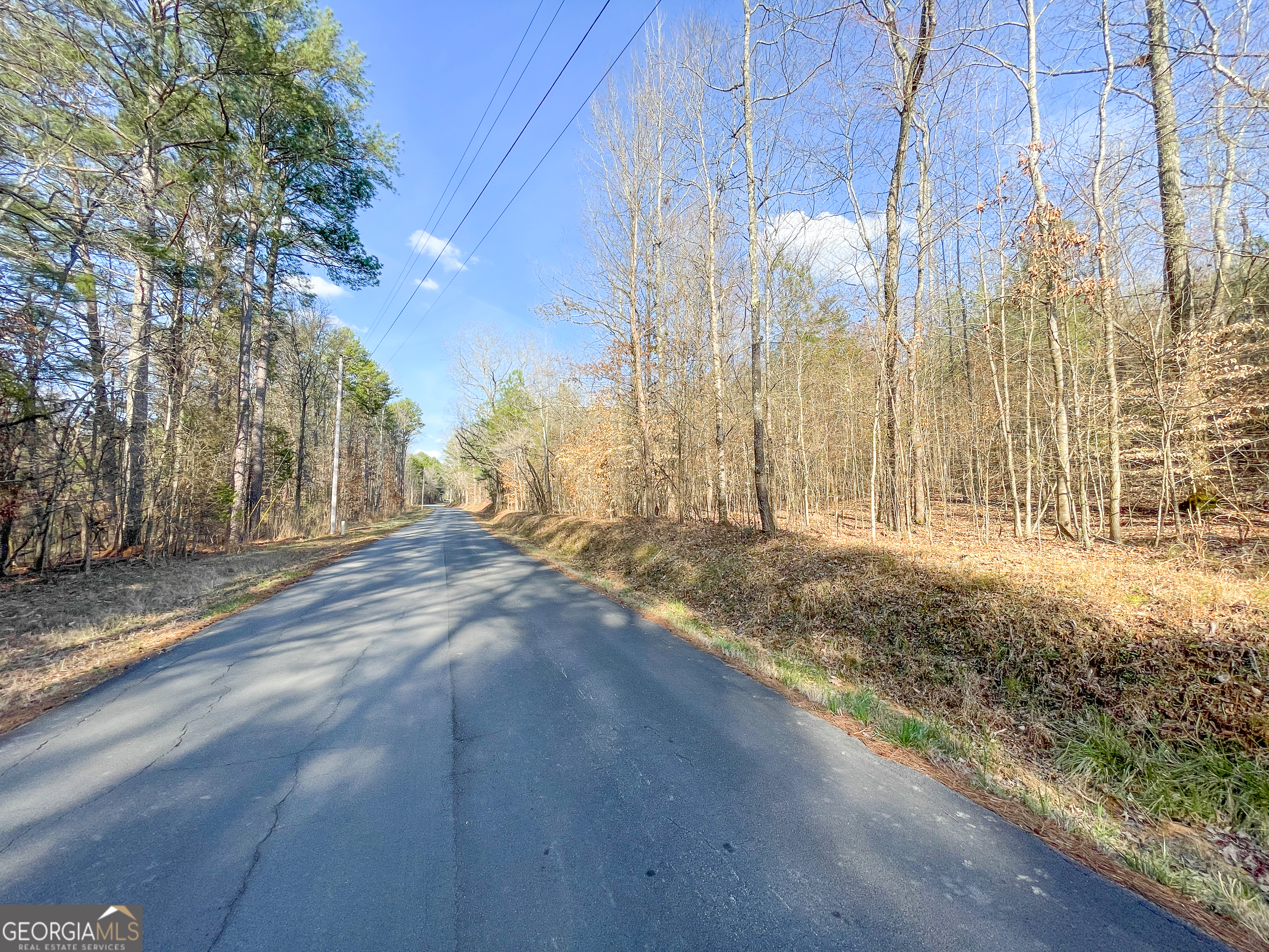 39 Acres On E. Teloga Road Summerville GA 30747
