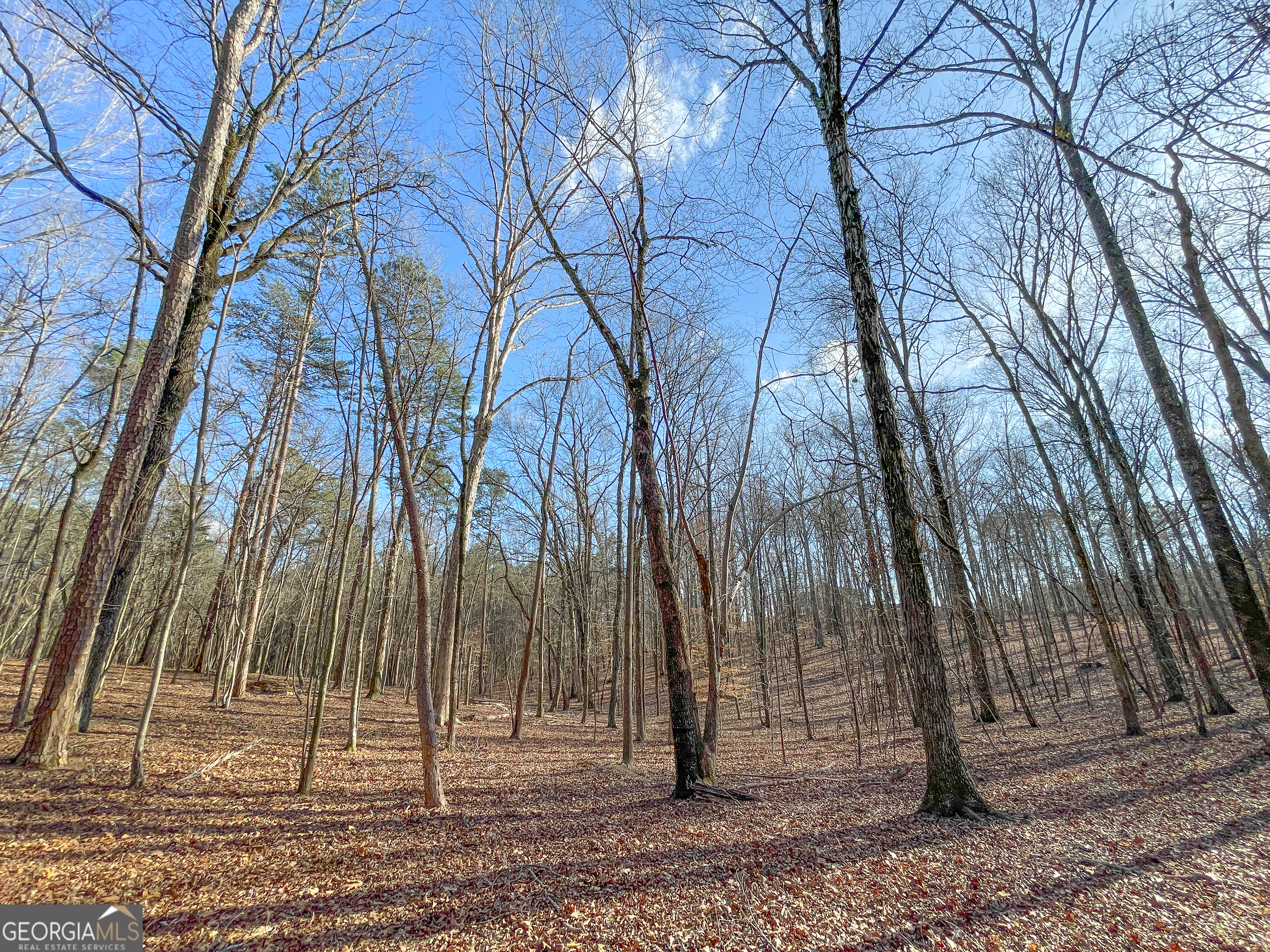 39 Acres On E. Teloga Road Summerville GA 30747