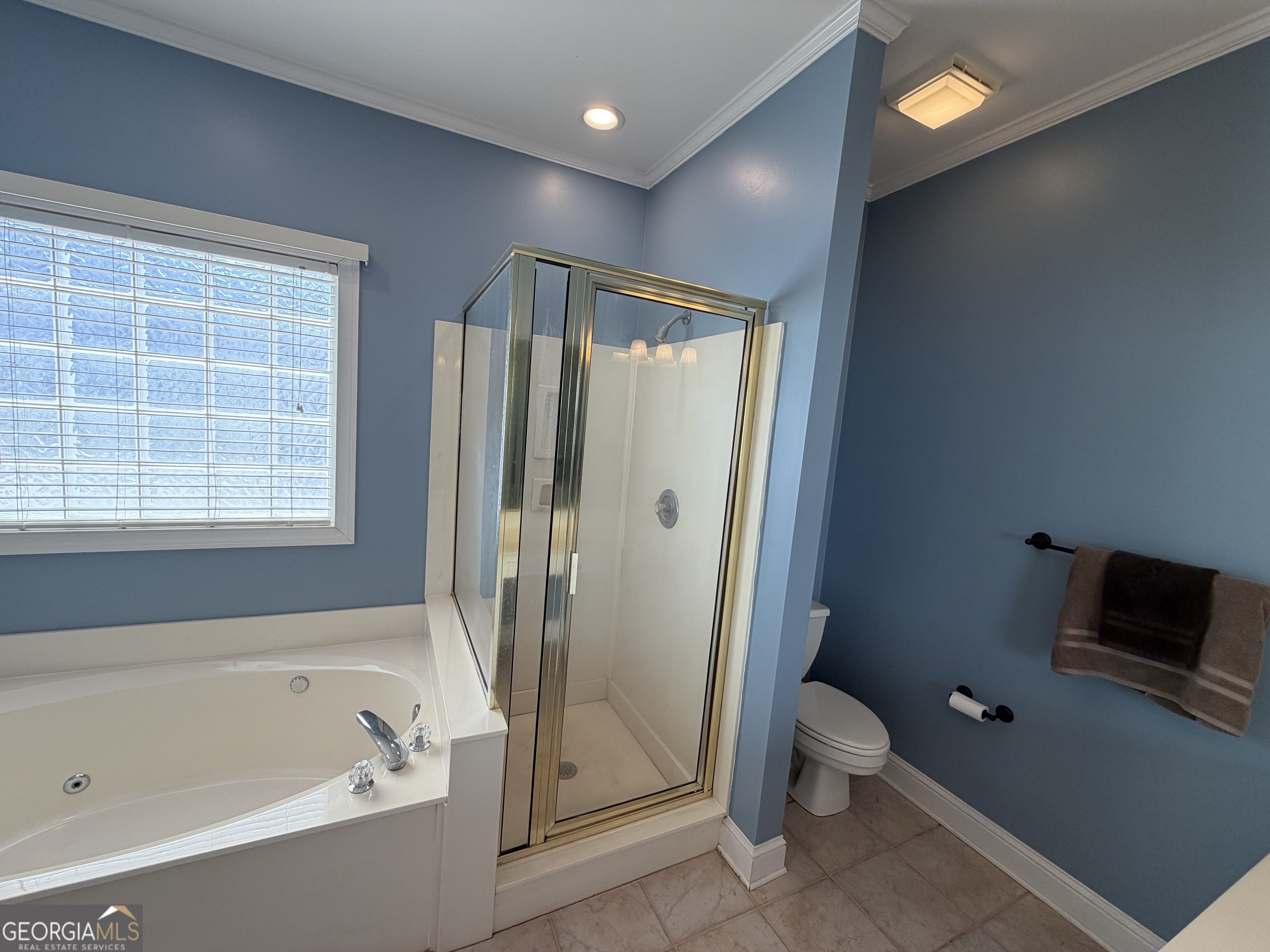 15 Wellington Manor Sharpsburg GA 30277