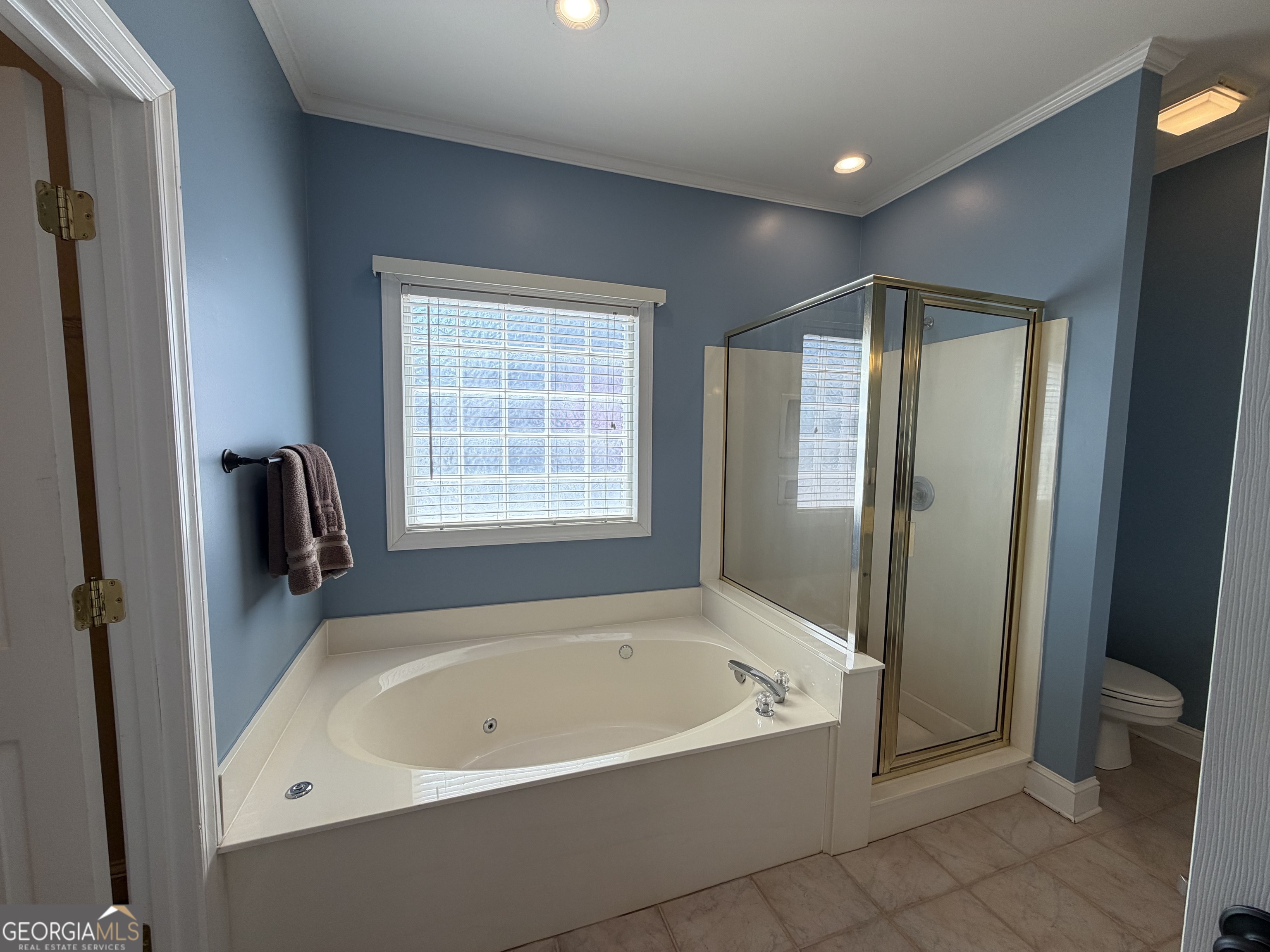 15 Wellington Manor Sharpsburg GA 30277