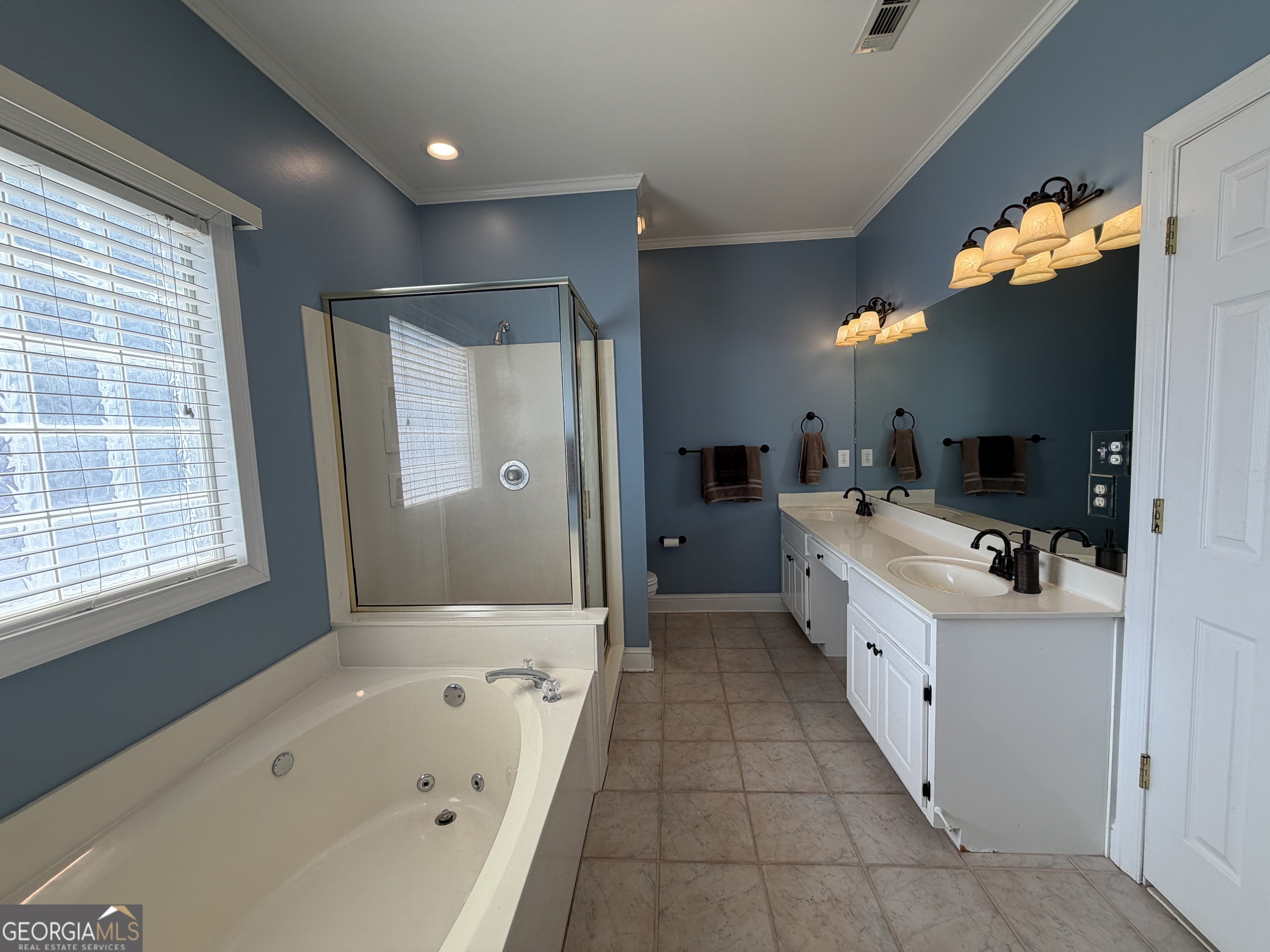 15 Wellington Manor Sharpsburg GA 30277