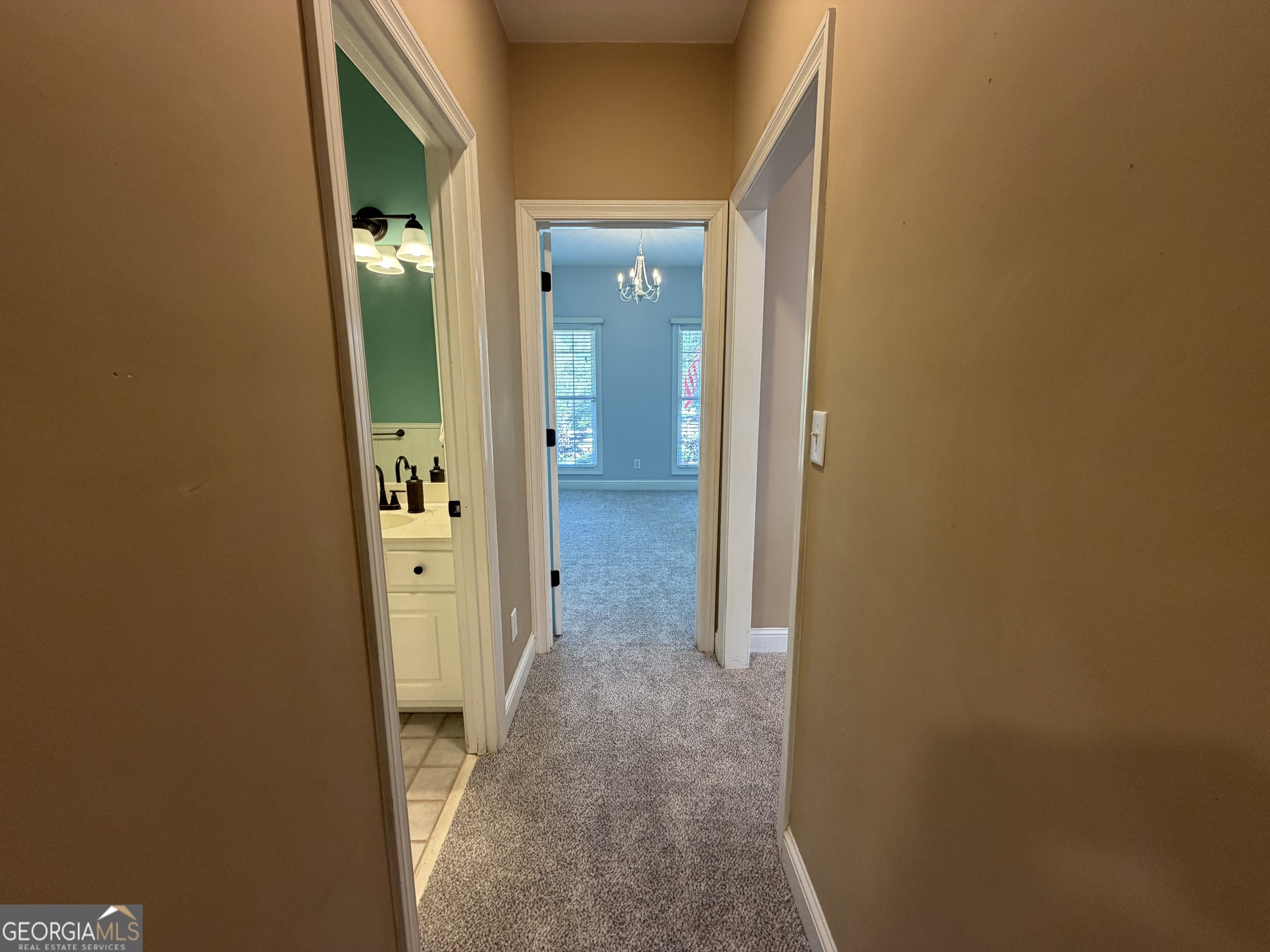 15 Wellington Manor Sharpsburg GA 30277