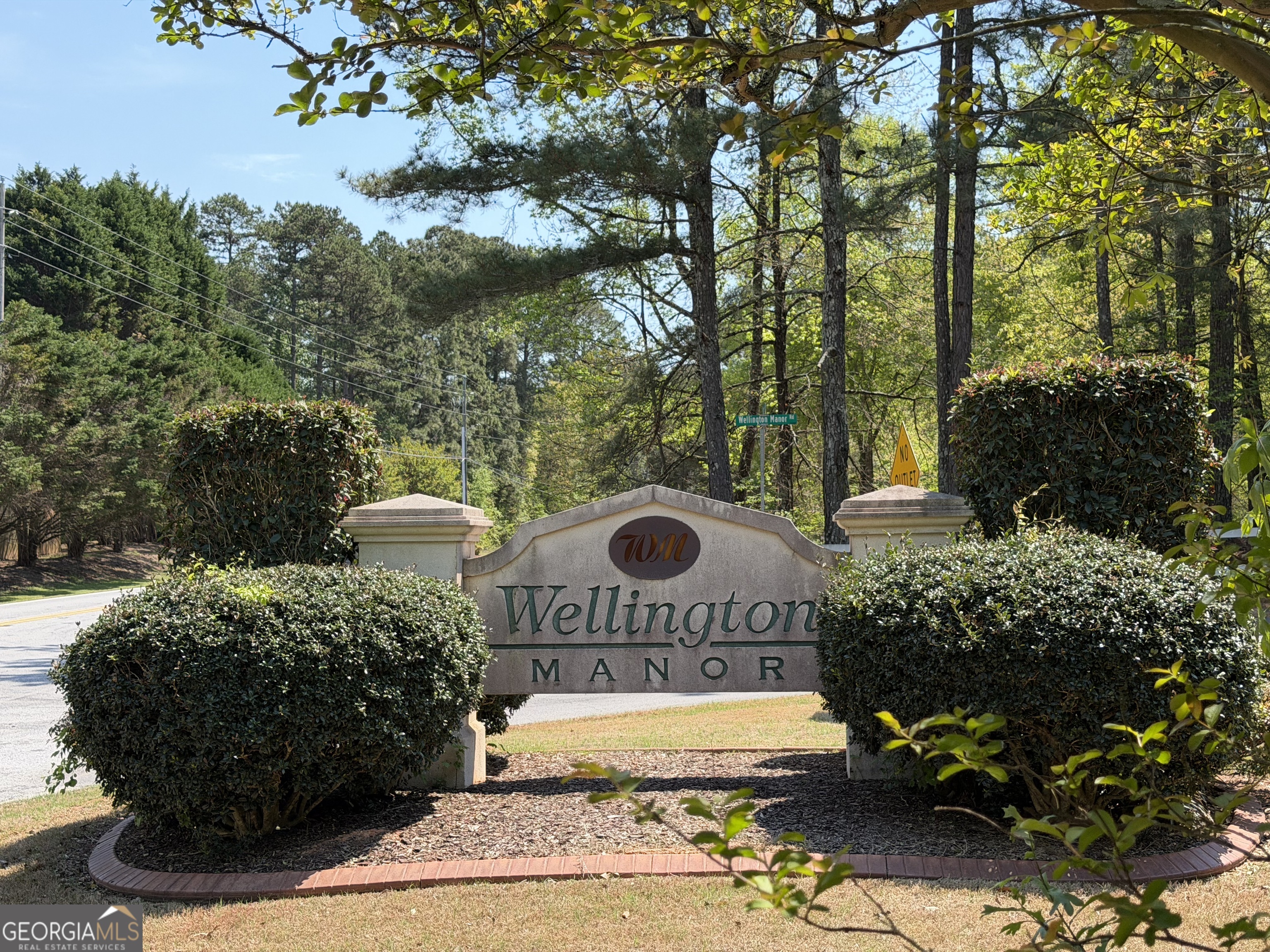 15 Wellington Manor Sharpsburg GA 30277