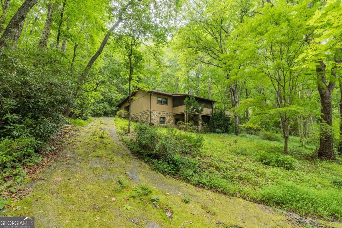 65 Eagle Chase Circle Dillard GA 30537