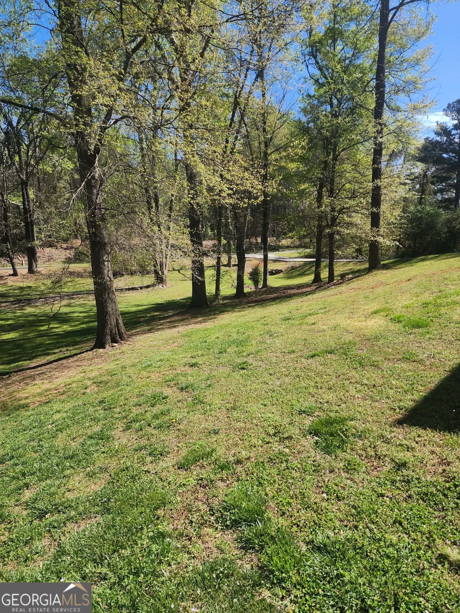 1175 Diamond Hill Colbert Road Colbert GA 30628