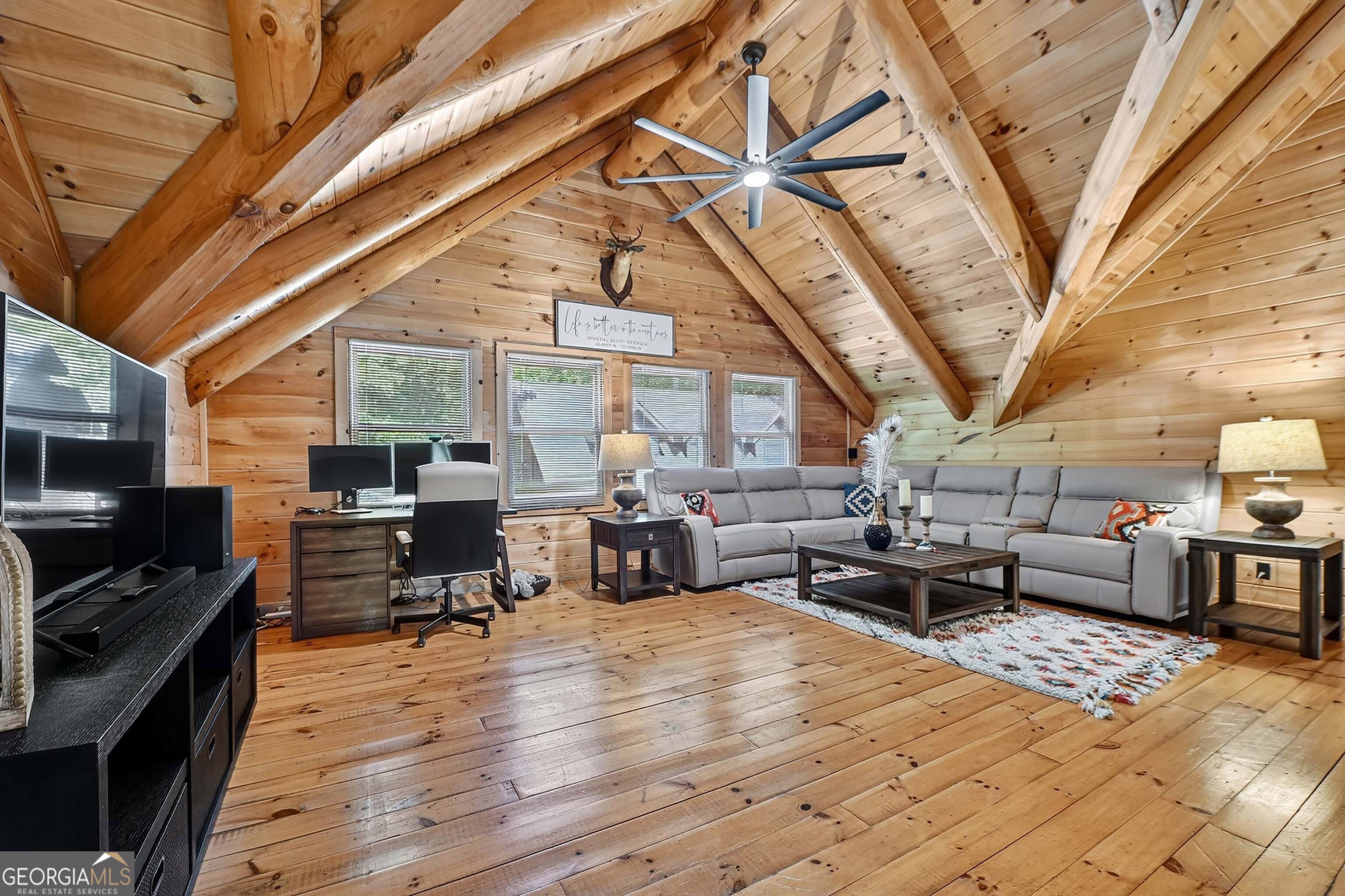 505 Old Salem Road Mineral Bluff GA 30559