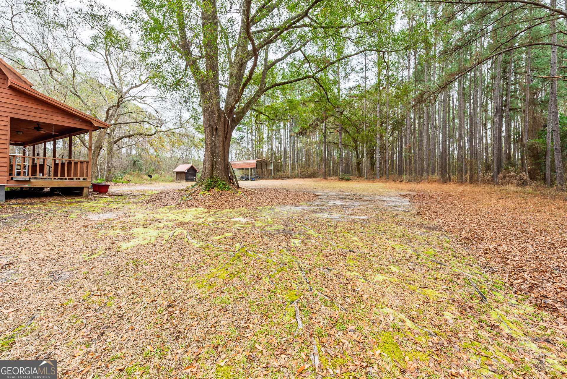 1670 Beaver Dam Road Odum GA 31555
