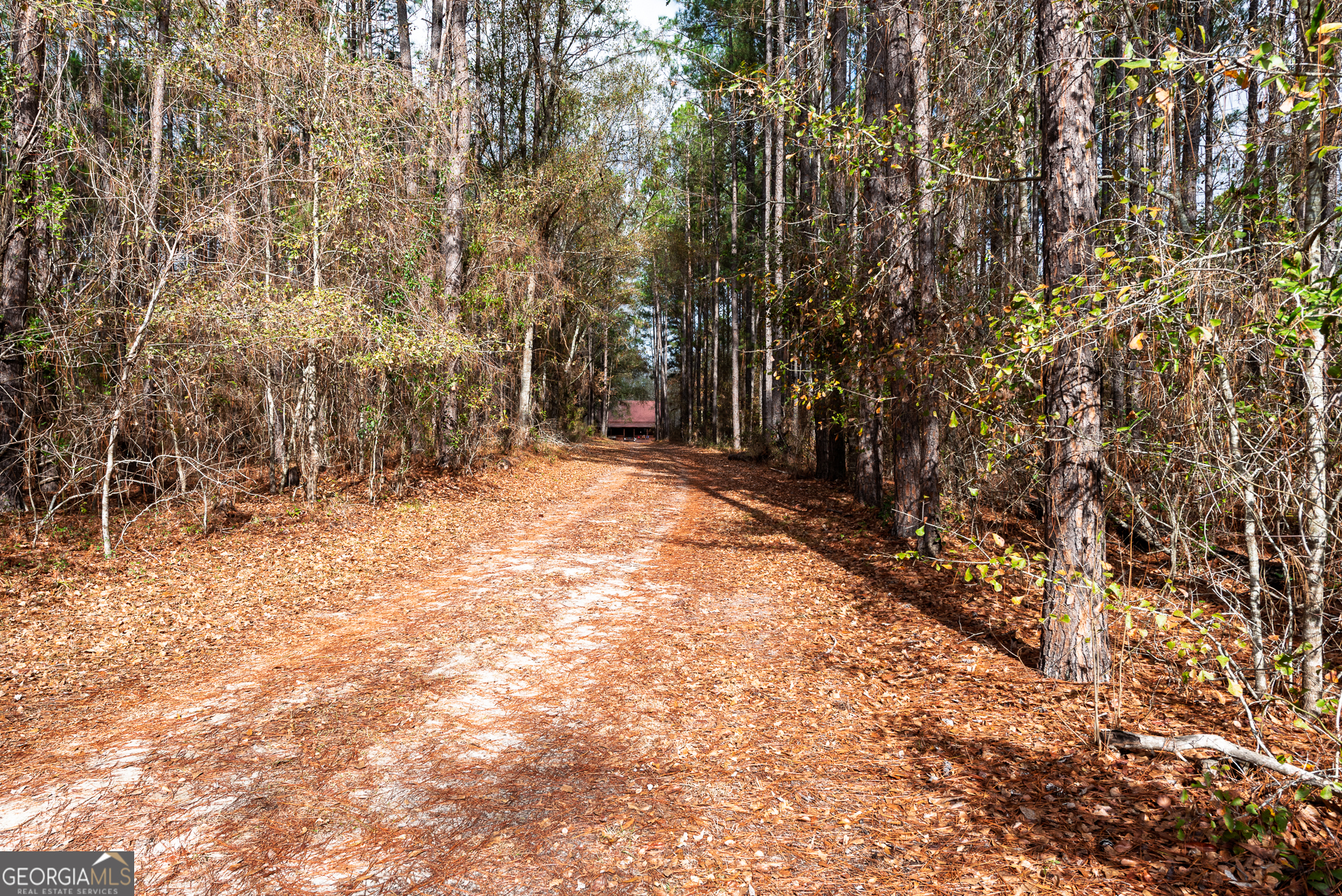 1670 Beaver Dam Road Odum GA 31555