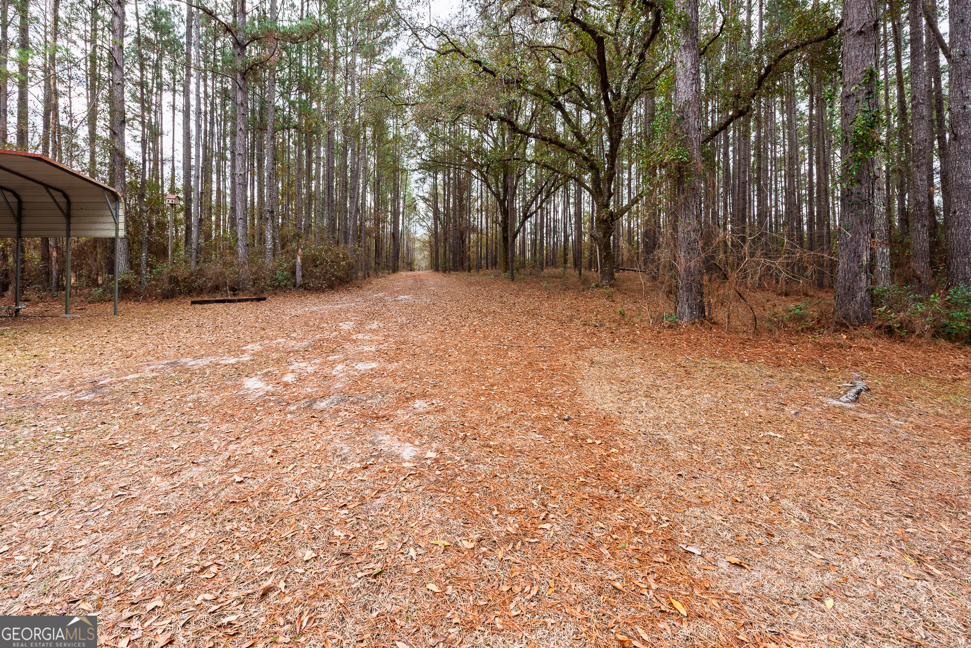 1670 Beaver Dam Road Odum GA 31555