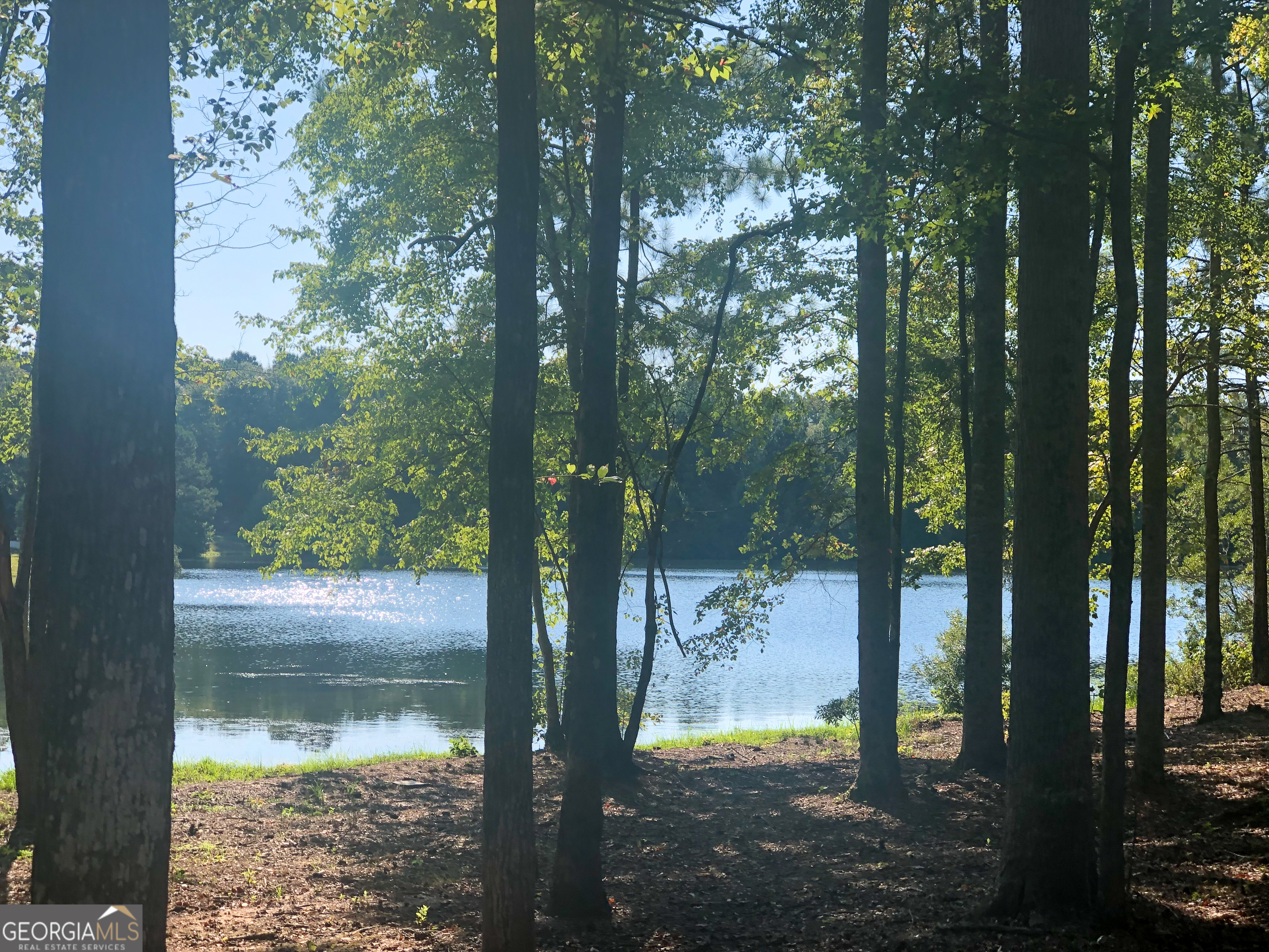 37 Farmstead Way Senoia GA 30276
