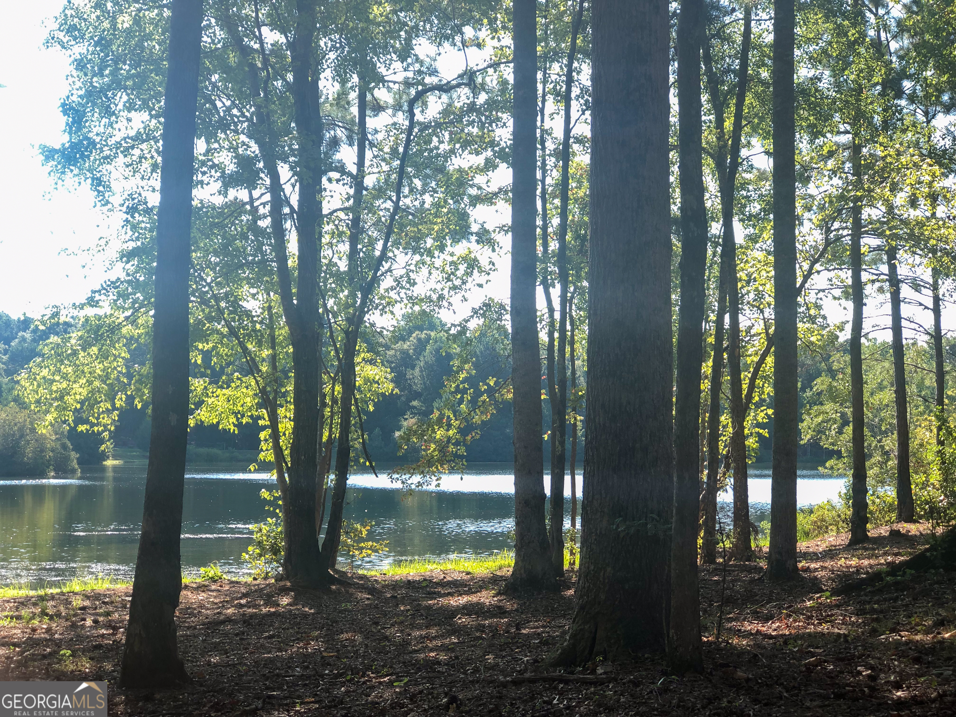 37 Farmstead Way Senoia GA 30276