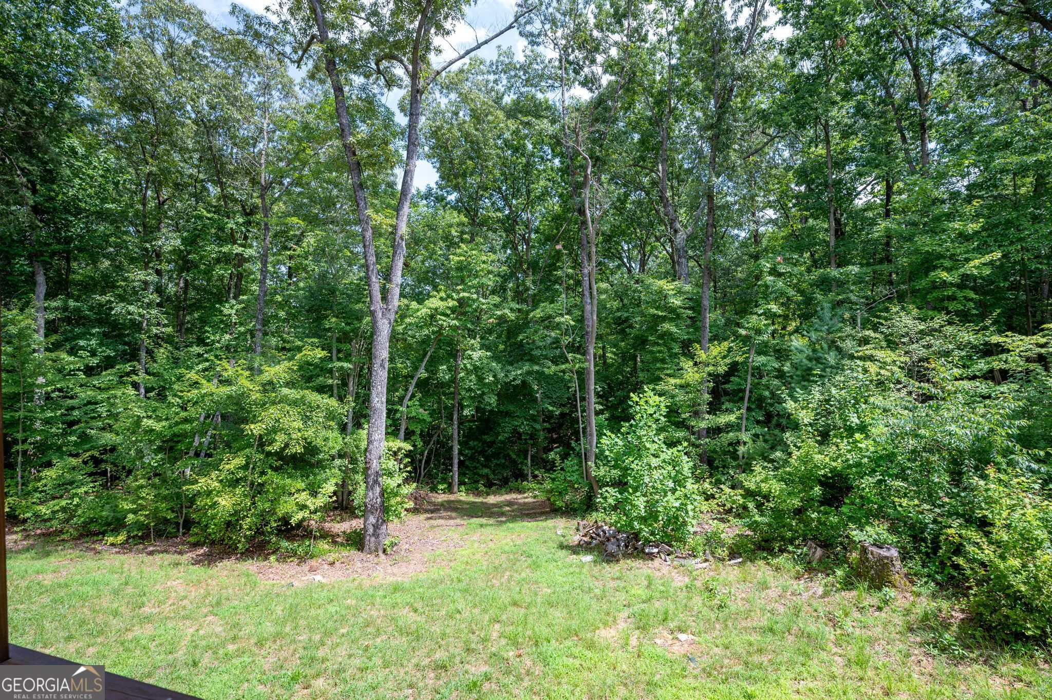 146 Hackney Trail Ellijay GA 30536
