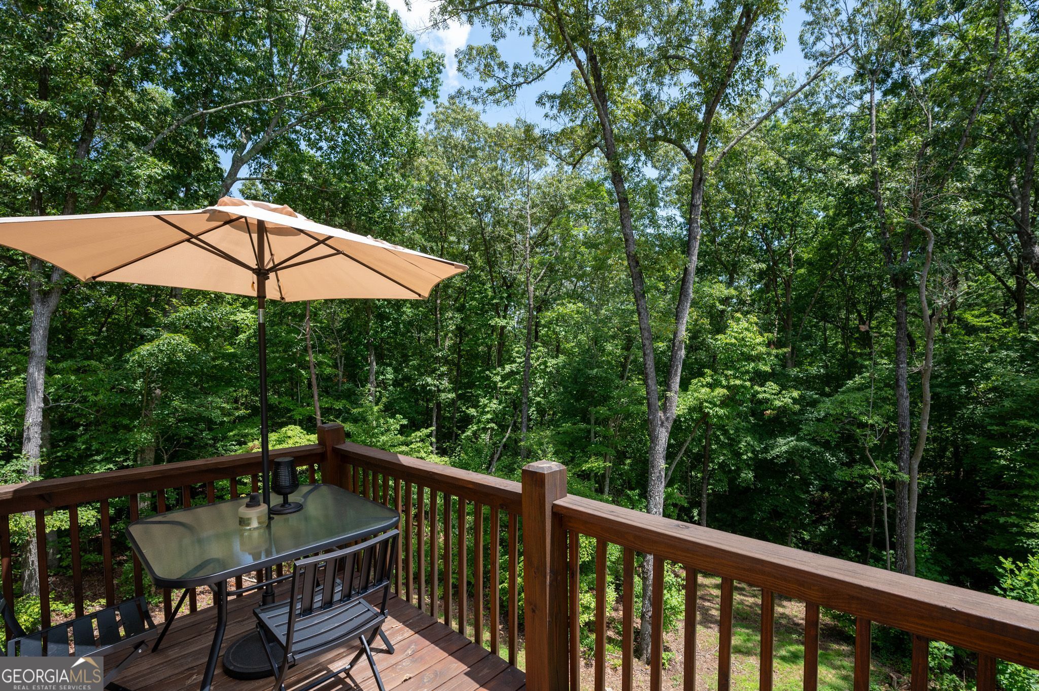 146 Hackney Trail Ellijay GA 30536