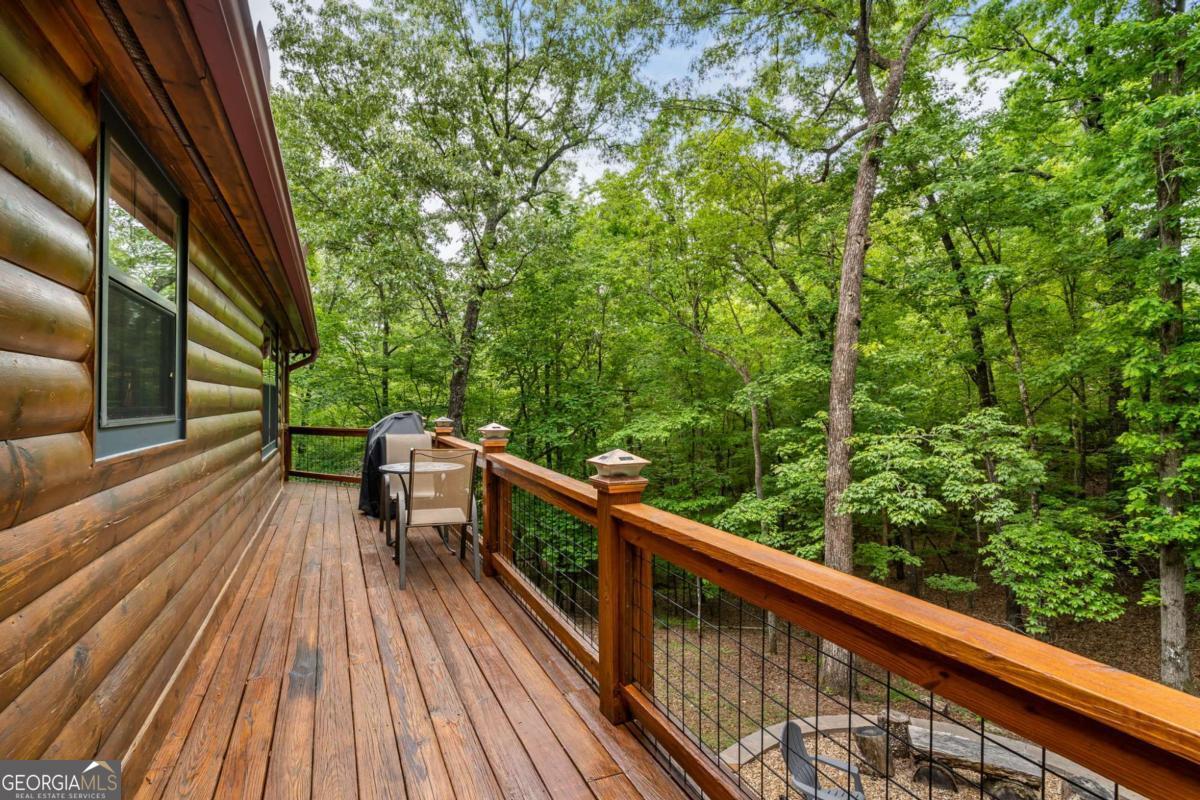 294 Oakwood Trail Mineral Bluff GA 30559