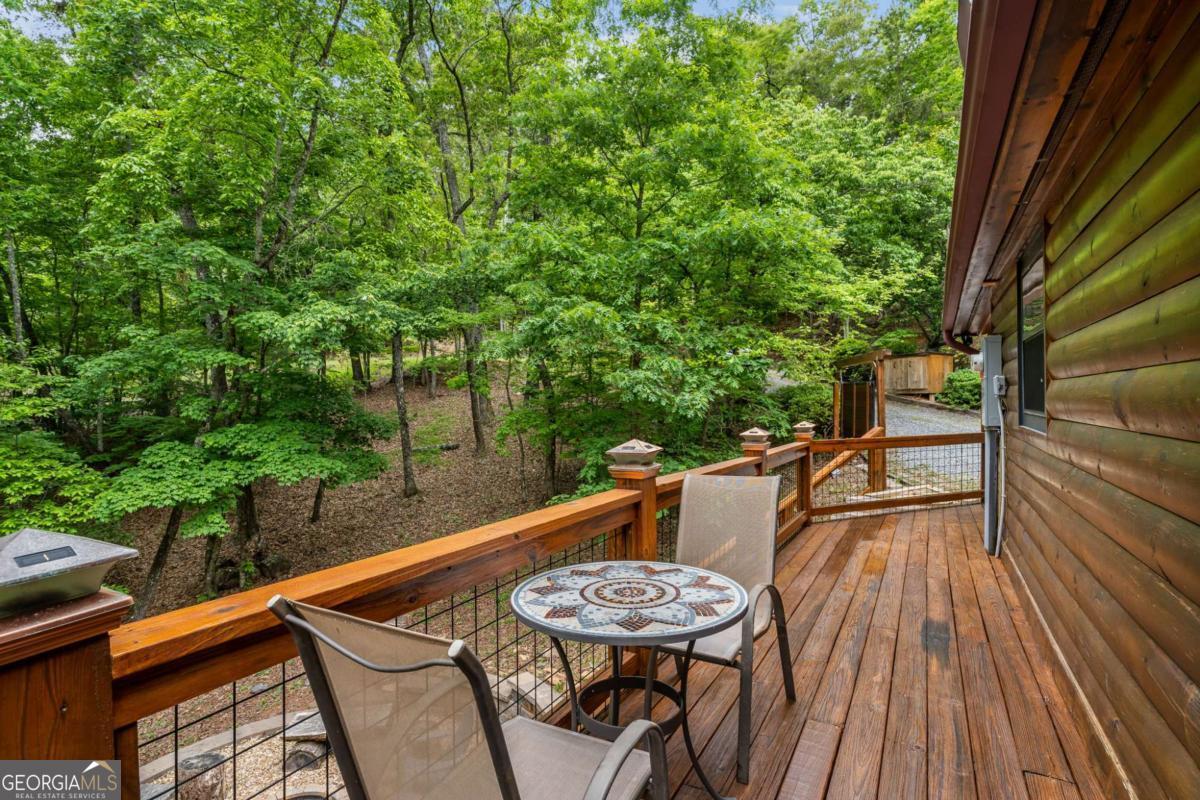 294 Oakwood Trail Mineral Bluff GA 30559