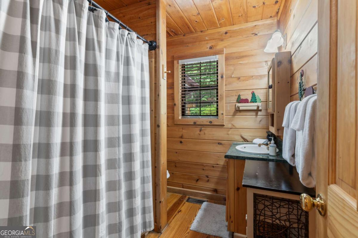 294 Oakwood Trail Mineral Bluff GA 30559