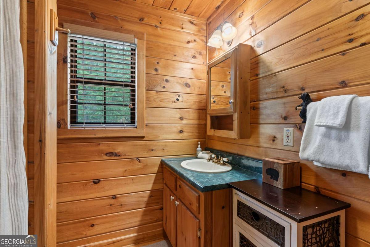 294 Oakwood Trail Mineral Bluff GA 30559