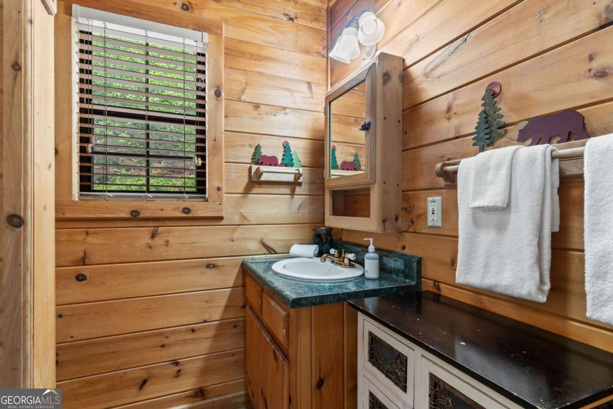294 Oakwood Trail Mineral Bluff GA 30559
